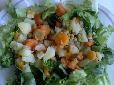 Salada ao molho de maionese 