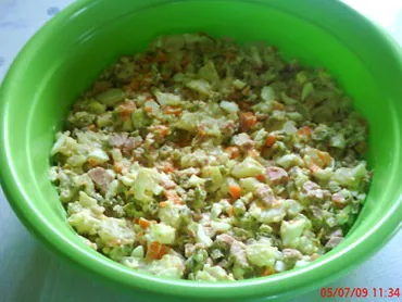 Salada Fria (Maionese) 