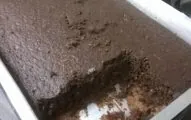 Bolo De Chocolate Com Aveia (Sem Manteiga) - Mulher Das Receitas