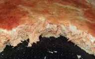 Torta De Frango Com Palmito Cremosa - Mulher Das Receitas